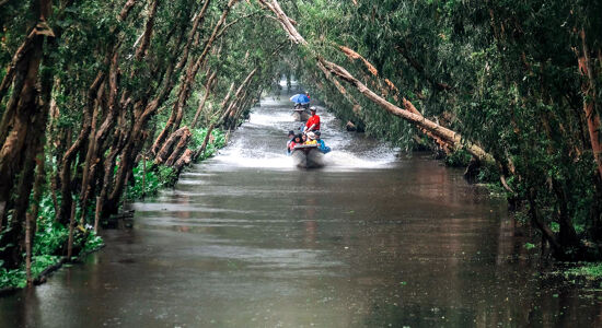 Chau Doc Tra Su Sanctuary visi